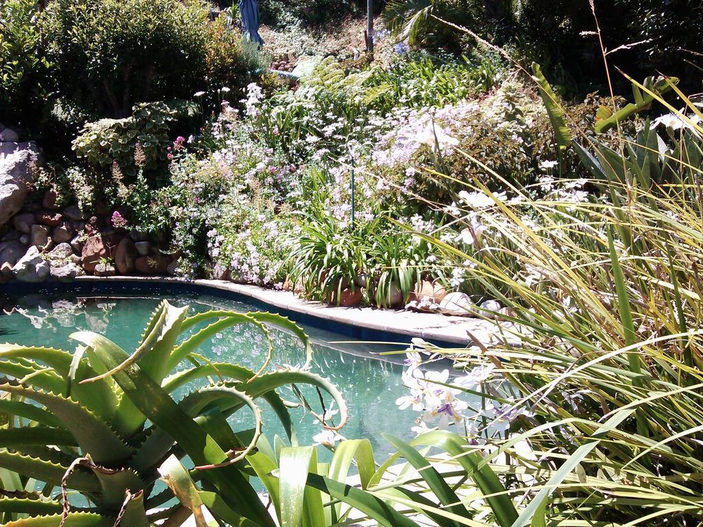 Hout Bay Hideaway Hotel Eksteriør billede
